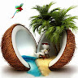 Meet your Posher, Dustin